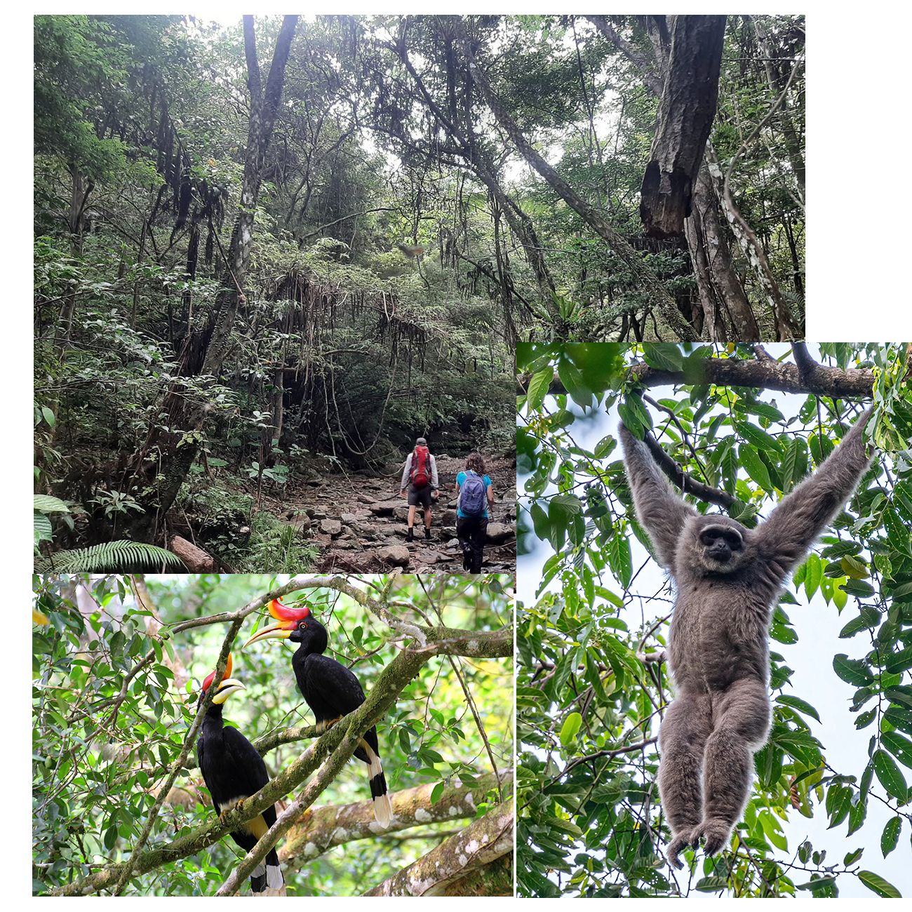 Ujung Kulon Trip